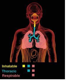 respirable